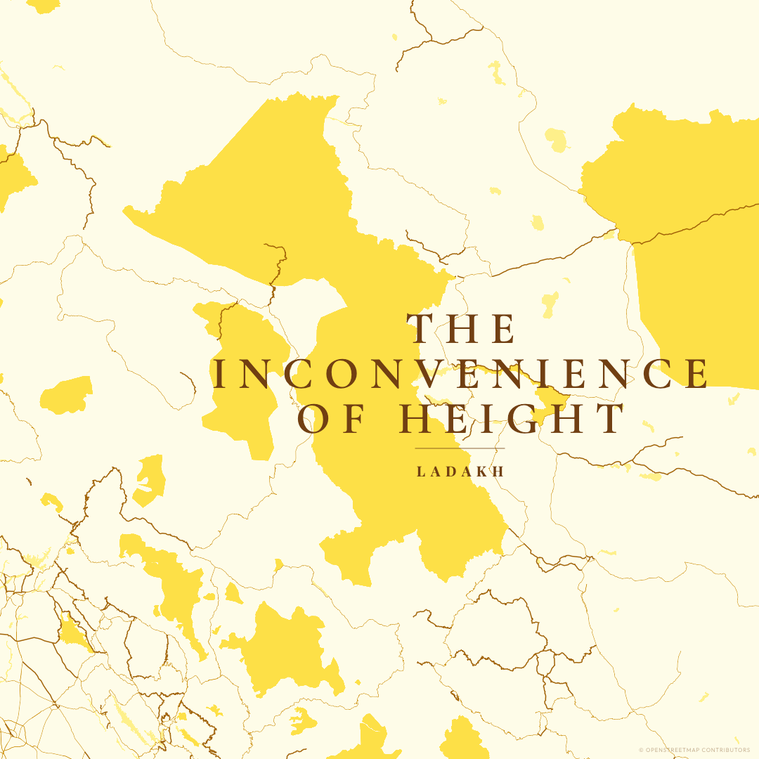 The Inconvenience of Height