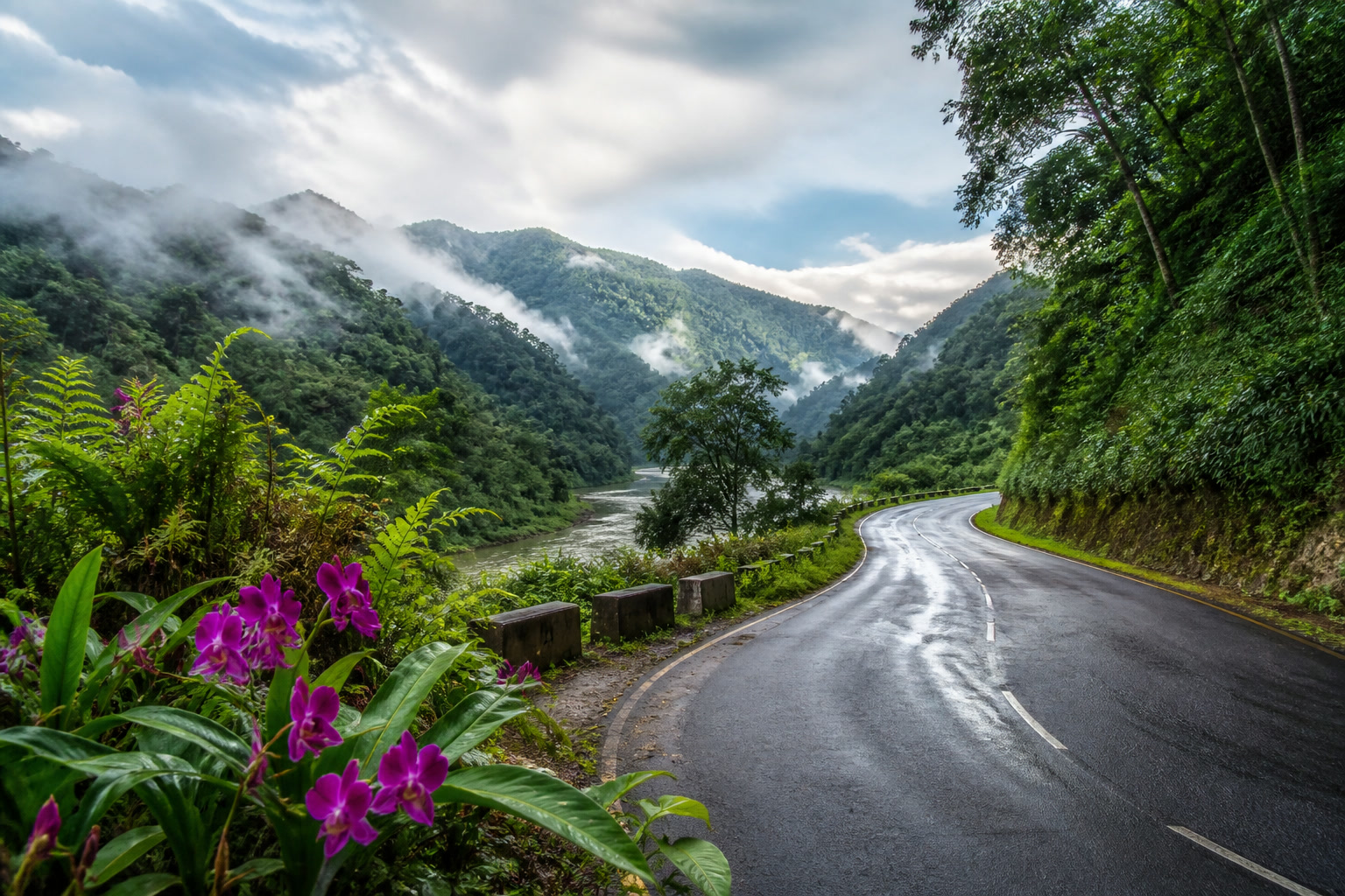 Misty forest road through the Bhalukpong foothills toward Dirang