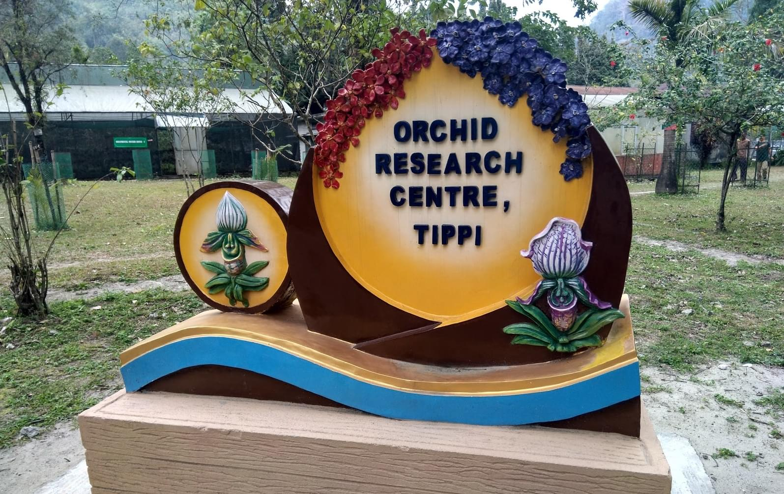 Tippi Orchard