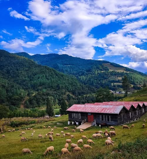 Sangti Valley