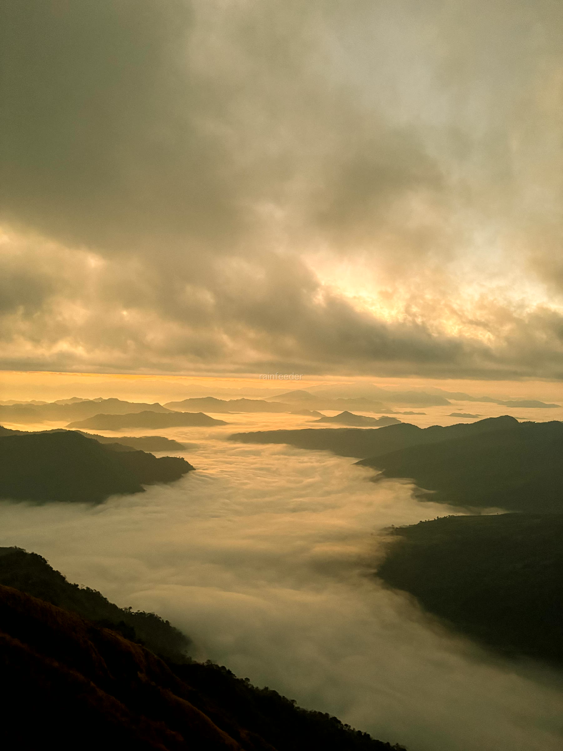 Reiek Ridge Mornings